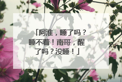 阿淮，睡了吗？睡不着！南哥，醒了吗？没睡！