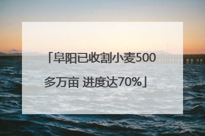 阜阳已收割小麦500多万亩 进度达70%