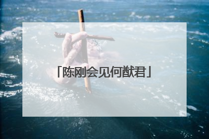 陈刚会见何猷君