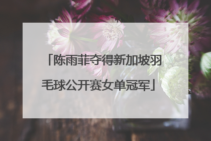 陈雨菲夺得新加坡羽毛球公开赛女单冠军
