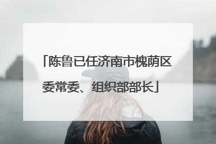 陈鲁已任济南市槐荫区委常委、组织部部长