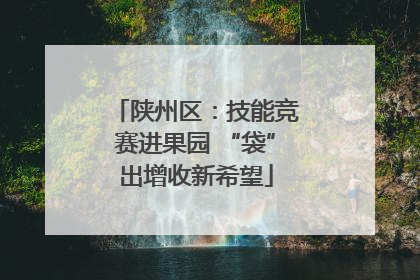 陕州区：技能竞赛进果园 “袋”出增收新希望