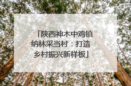 陕西神木中鸡镇纳林采当村：打造乡村振兴新样板