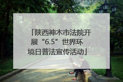 陕西神木市法院开展“6.5”世界环境日普法宣传活动
