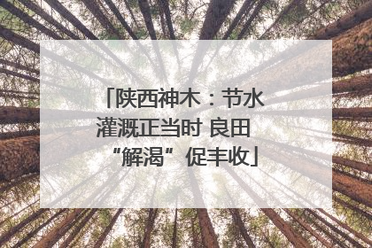 陕西神木：节水灌溉正当时 良田“解渴”促丰收