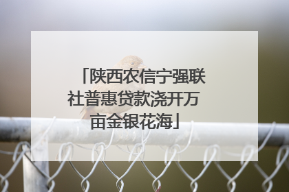 陕西农信宁强联社普惠贷款浇开万亩金银花海