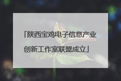 陕西宝鸡电子信息产业创新工作室联盟成立