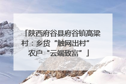 陕西府谷县府谷镇高梁村：乡货“触网出村” 农户“云端致富”