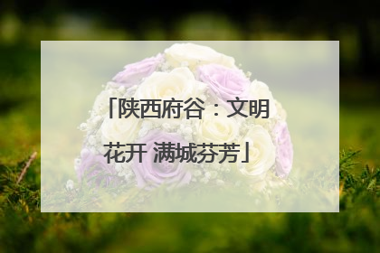 陕西府谷：文明花开 满城芬芳