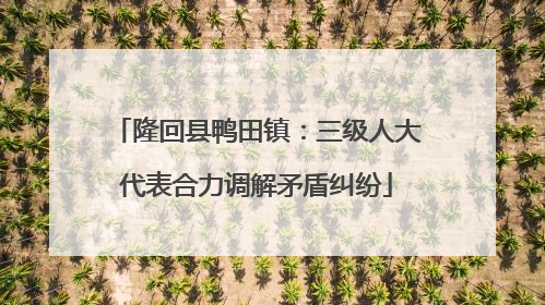 隆回县鸭田镇：三级人大代表合力调解矛盾纠纷