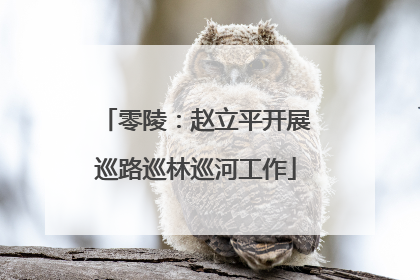 零陵：赵立平开展巡路巡林巡河工作