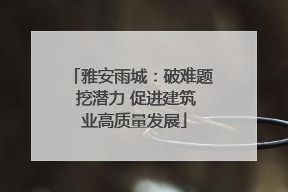 雅安雨城：破难题 挖潜力 促进建筑业高质量发展
