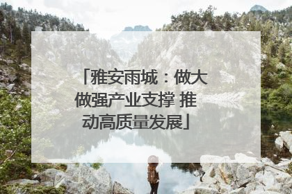 雅安雨城：做大做强产业支撑 推动高质量发展
