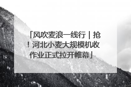 风吹麦浪一线行｜抢！河北小麦大规模机收作业正式拉开帷幕