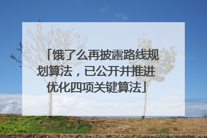 饿了么再披露路线规划算法，已公开并推进优化四项关键算法