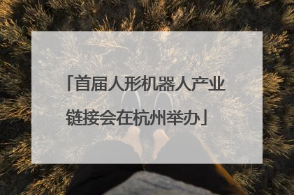 首届人形机器人产业链接会在杭州举办