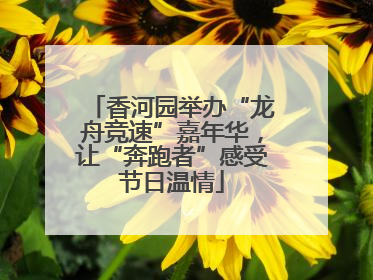 香河园举办“龙舟竞速”嘉年华，让“奔跑者”感受节日温情