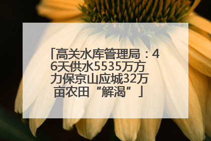 高关水库管理局：46天供水5535万方 力保京山应城32万亩农田“解渴”