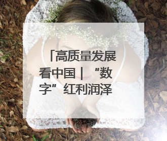高质量发展看中国｜“数字”红利润泽八桂乡村 智慧赋能绘就振兴画卷