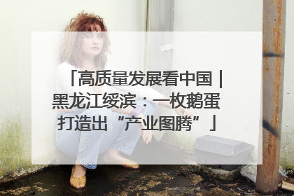 高质量发展看中国｜黑龙江绥滨：一枚鹅蛋打造出“产业图腾”
