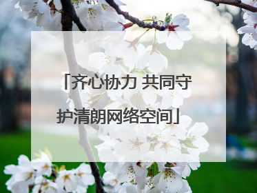 齐心协力 共同守护清朗网络空间