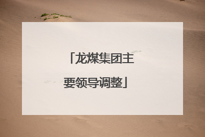 龙煤集团主要领导调整