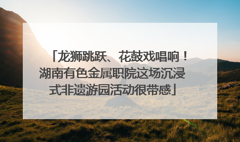 龙狮跳跃、花鼓戏唱响！湖南有色金属职院这场沉浸式非遗游园活动很带感