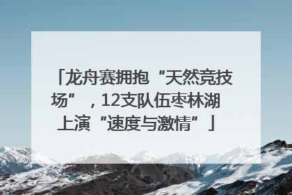 龙舟赛拥抱“天然竞技场”，12支队伍枣林湖上演“速度与激情”