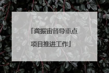 龚振宙督导重点项目推进工作