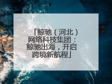 鲸驰（河北）网络科技集团：鲸驰出海，开启跨境新航程