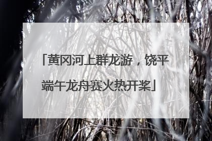 黄冈河上群龙游，饶平端午龙舟赛火热开桨