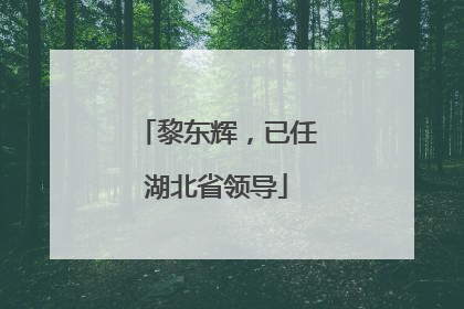 黎东辉，已任湖北省领导
