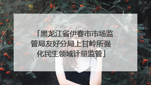 黑龙江省伊春市市场监管局友好分局上甘岭所强化民生领域计量监管