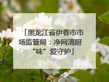 黑龙江省伊春市市场监管局：净网清厨 “味”爱守护
