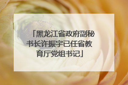 黑龙江省政府副秘书长许振宇已任省教育厅党组书记