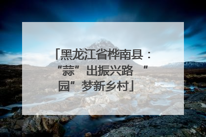 黑龙江省桦南县：“蒜”出振兴路 “园”梦新乡村