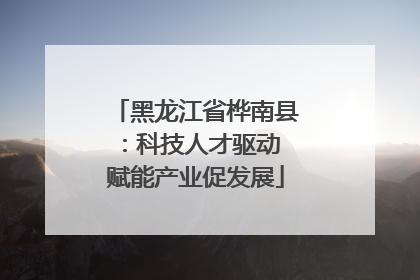 黑龙江省桦南县：科技人才驱动 赋能产业促发展