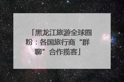 黑龙江旅游全球圈粉：各国旅行商“群聊”合作揽客