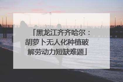 黑龙江齐齐哈尔：胡萝卜无人化种植破解劳动力短缺难题