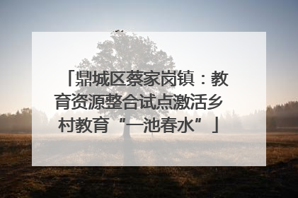 鼎城区蔡家岗镇：教育资源整合试点激活乡村教育“一池春水”