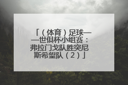 （体育）足球——世俱杯小组赛：弗拉门戈队胜突尼斯希望队（2）