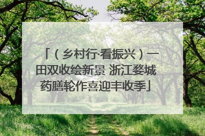 （乡村行·看振兴）一田双收绘新景 浙江婺城药膳轮作喜迎丰收季