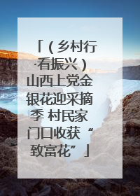 （乡村行·看振兴）山西上党金银花迎采摘季 村民家门口收获“致富花”