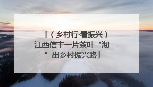 （乡村行·看振兴）江西信丰一片茶叶“沏”出乡村振兴路