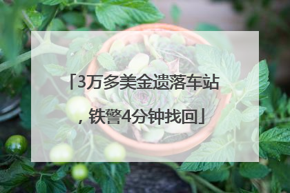 3万多美金遗落车站，铁警4分钟找回