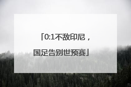 0:1不敌印尼，国足告别世预赛