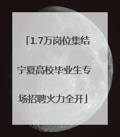 1.7万岗位集结 宁夏高校毕业生专场招聘火力全开