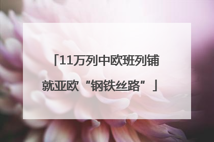 11万列中欧班列铺就亚欧“钢铁丝路”