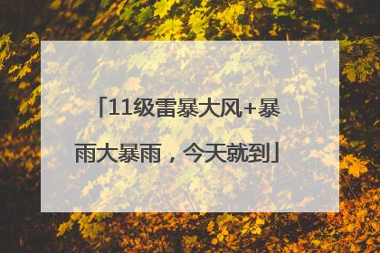 11级雷暴大风+暴雨大暴雨，今天就到