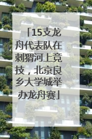 15支龙舟代表队在刺猬河上竞技，北京良乡大学城举办龙舟赛